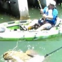 You’ll never catch a fish like this