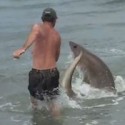 Beach idiots vs Shark